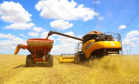 ​Paraná deve produzir 25,37 milhões de toneladas de grãos na safra de verão
